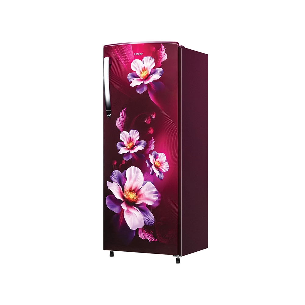 Haier 235L 2 Star Direct Cool Refrigerator - HRD-2562CRK-N